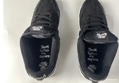 Youth Nike Wasted Low DD8386-001 SB Dunk - 0706